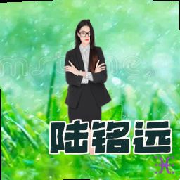 陆铭远